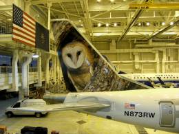 N873RW